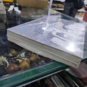 血与骨 安昌河 著