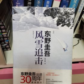 风雪追击