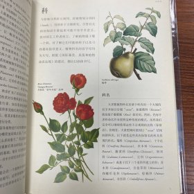 英国皇家园艺学会植物学指南：花园里的科学与艺术