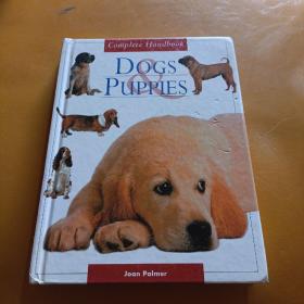 Dogs & Puppies