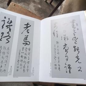 王瑞璧九十书艺（其儿王志雄赠名）