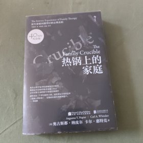 热锅上的家庭：家庭问题背后的心理真相