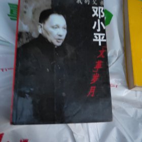 我的父亲邓小平：文革岁月