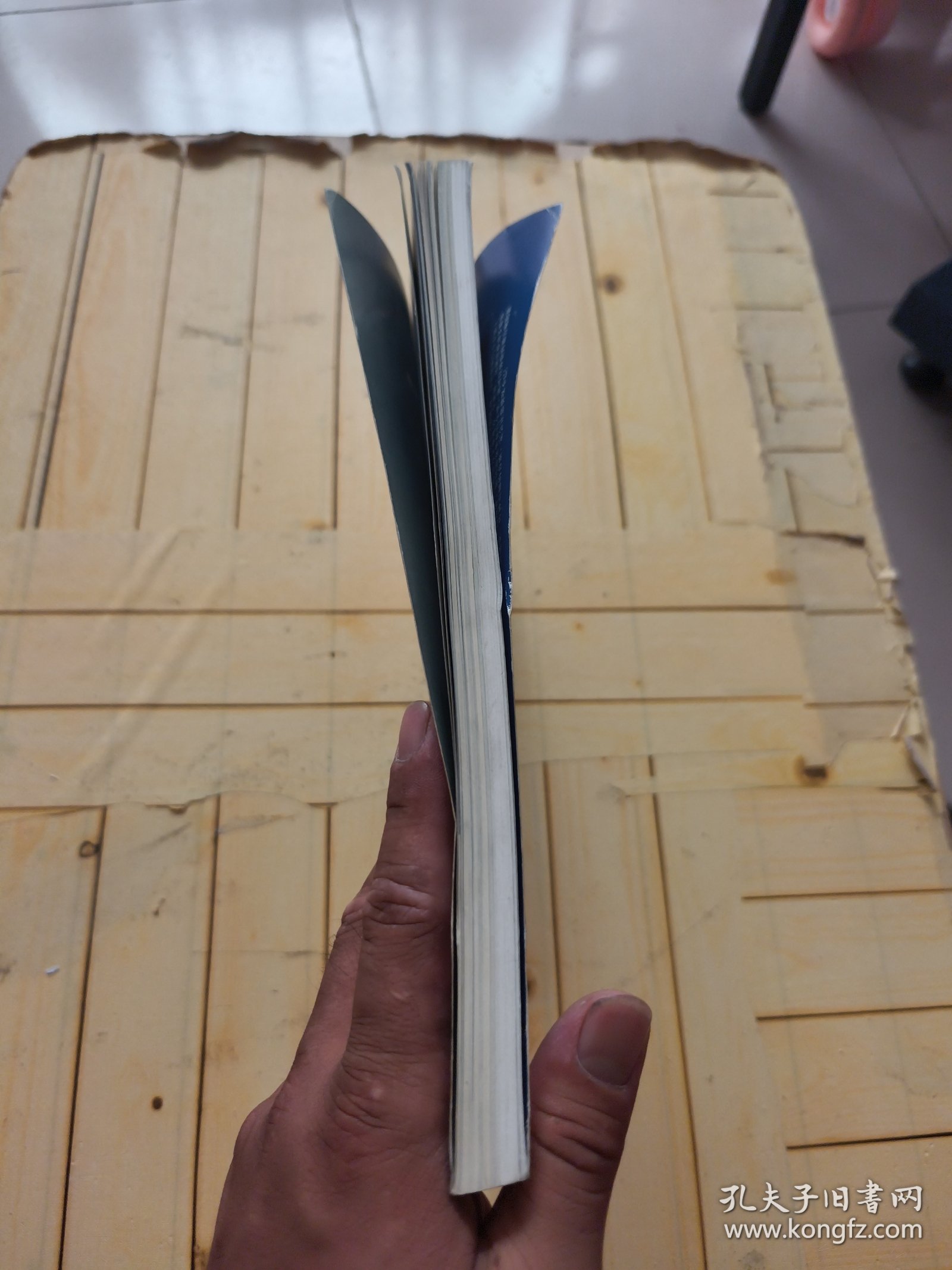 全球名车录:2001