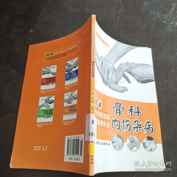 图解中医骨伤名家手法精华丛书——骨科内伤杂病