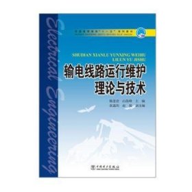 输电线路运行维护理论与技术