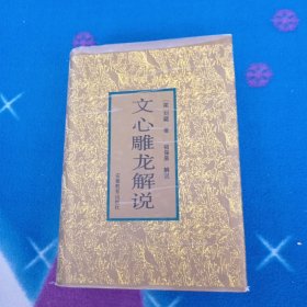 文心雕龙解说【精装】