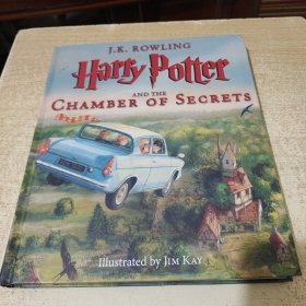 Harry Potter and the Chamber of Secrets: The Ill