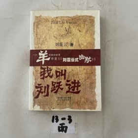 我叫刘跃进