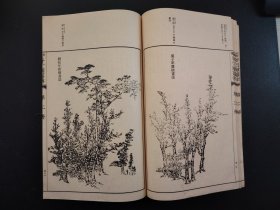 1935年《芥子园画傳》线装13册全，树谱、山石谱、人物屋宇谱、摹仿名家画谱、兰谱、竹谱、梅谱、菊谱、草虫花卉谱上下、翎毛花卉谱上下等内容