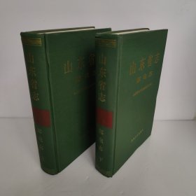 山东省志.邮电志（上下）九成新左右