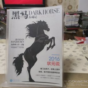 黑马养成记