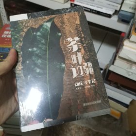 茶叶边疆