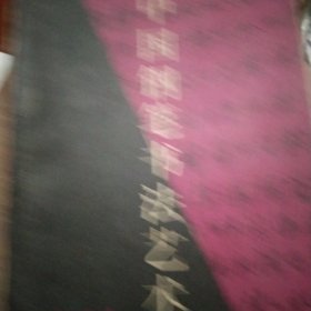 中国钢笔书法艺术