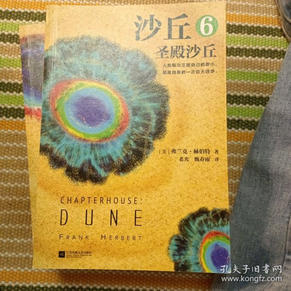 沙丘6：圣殿沙丘(终结篇来袭！每个“不可不读”的书单上都有《沙丘》)(读客外国小说文库)