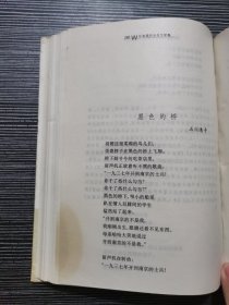 日本现代女性文学集