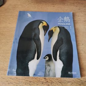 动物小百科：企鹅（平装本）一版一印