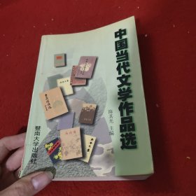 中国当代文学作品选