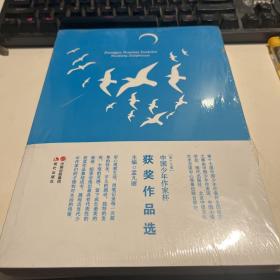 中国少年作家 杯获奖作品选