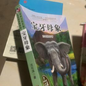 宝牙母象/动物小说王国沈石溪获奖作品