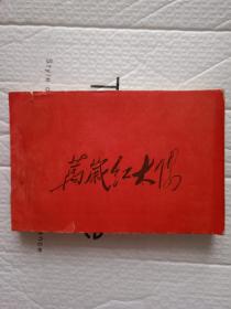 万岁红太阳