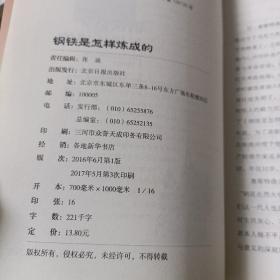 钢铁是怎样炼成的 名家名译世界经典文学名著 原汁原味读原著