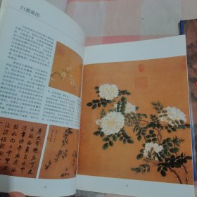 中国巨匠美术丛书：马远+王蒙（2本合售）