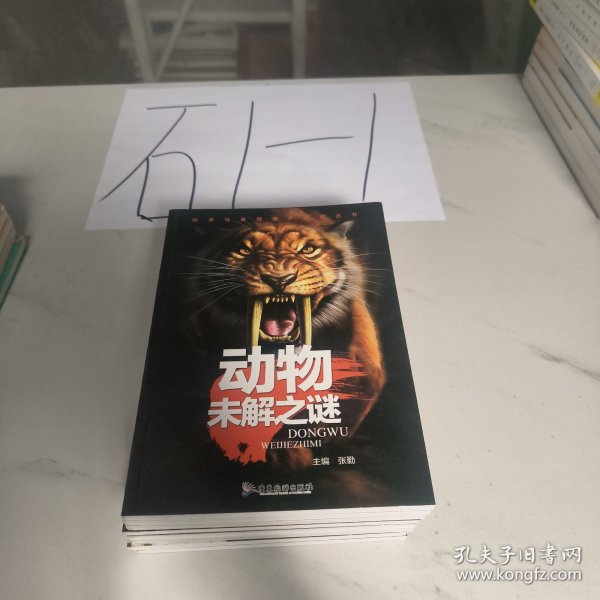 中国少年儿童百科·中国世界未解之谜（彩图注音版套装全8册）