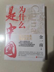 为什么是中国（金一南2020年全新作品。后疫情时代，中国的优势和未来在哪里？面对全球百年未有之大变局，中国将以何应对？）