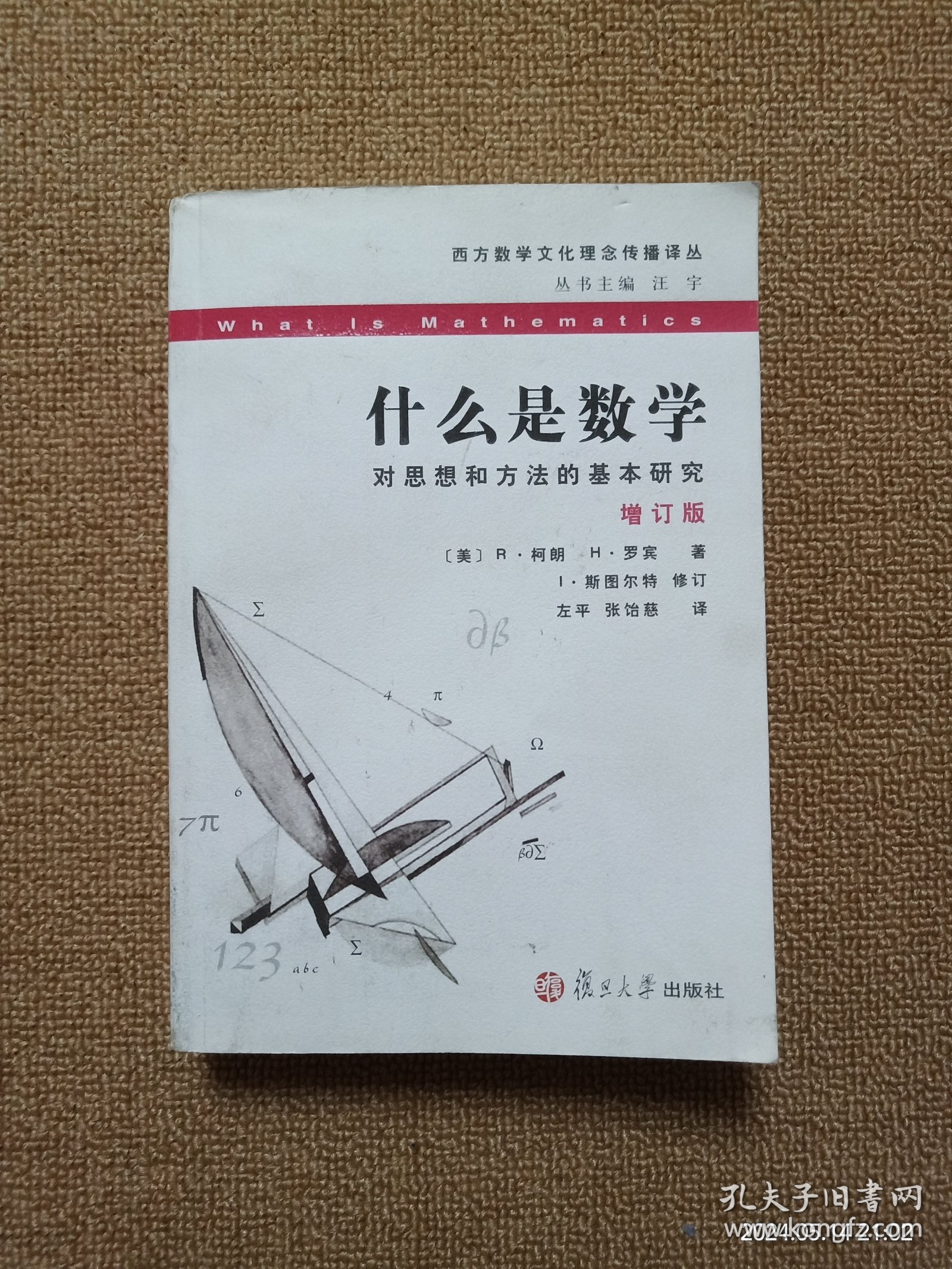 【实拍、多图、往下翻】什么是数学：对思想和方法的基本研究