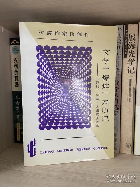 文学“爆炸”亲历记：何塞·多诺索谈创作