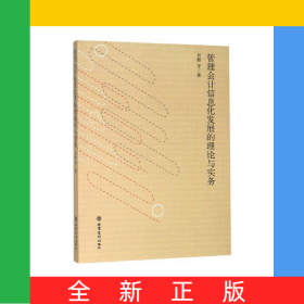 管理會計信息化發(fā)展的理論與實(shí)務(wù)