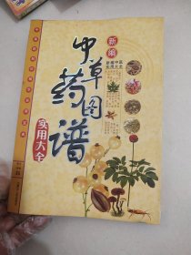 新编中草药图谱实用大全