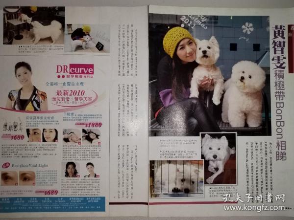 黄智雯16开彩页(2页3面)