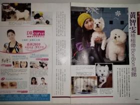 黄智雯16开彩页(2页3面)