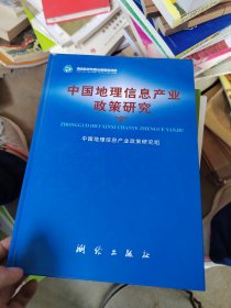 中国地理信息产业政策研究