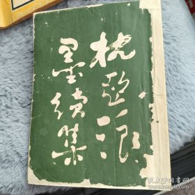 沈桠碎墨续集一本全