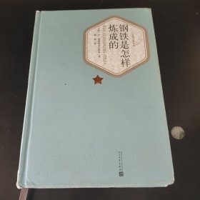 名著名译丛书：钢铁是怎样炼成的