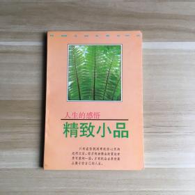 人生的感悟 精致小品