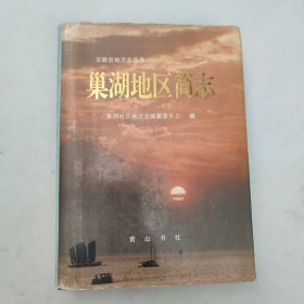 巢湖地区简志