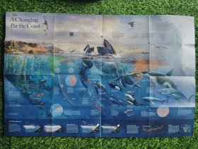 National Geographic国家地理杂志地图系列之2016年9月 A Changing Pacific Coast 太平洋海岸线地图