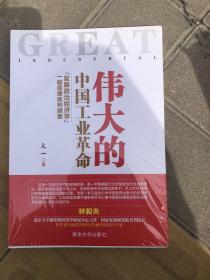 伟大的中国工业革命：“发展政治经济学”一般原理批判纲要