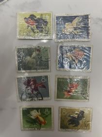 特38金鱼邮票信销票8张不同 一起300。