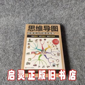 思维导图：超级学习力提升宝典（32开平装）