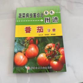 蔬菜病虫害诊治图谱 番茄分册