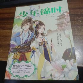 锦色 少年锦时