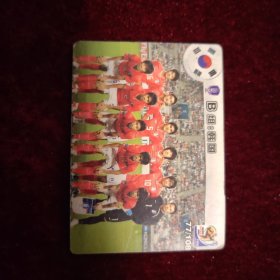 华丰足球卡，华丰fifa2010卡，b组韩国队，77号（普品）