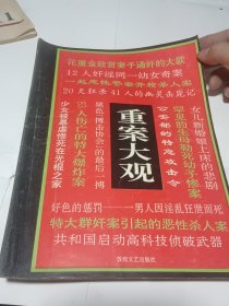 重案大观 B本