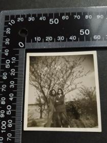 约五十年代树下双娇图照片一张，Z202