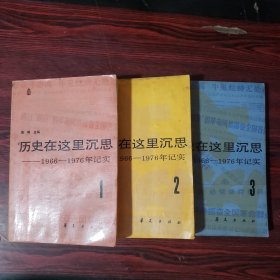 历史在这里沉思——1966-1977年纪实（全三卷）